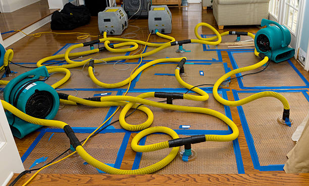 Professional Structural Drying And Dehumidification technician working in Croswell, MI